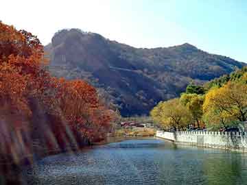 奥门天天开奖免费资料，国珍松花粉怎么样